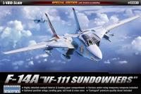 F-14A Tomcat Sundoweners